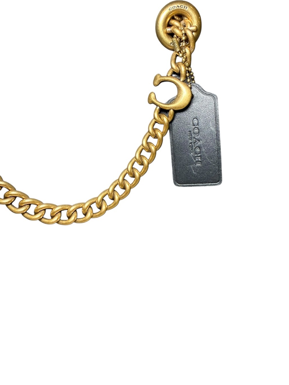 Nut 🥜 Coach Signature Chain Central Tote - Picture 6 of 10
